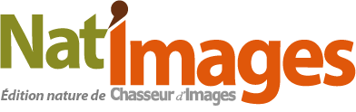 natimages.com logo