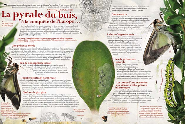 Stéphane Hette et Marcello Pettineo - Carnets La Pyrale du buis -