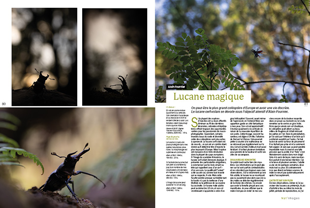 Nat images 91