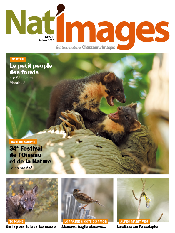 Nat images 91