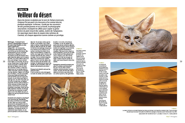 Gregory Pol - Fennec -