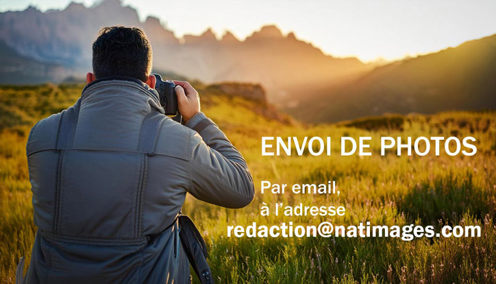 Proposer vos images a natimages