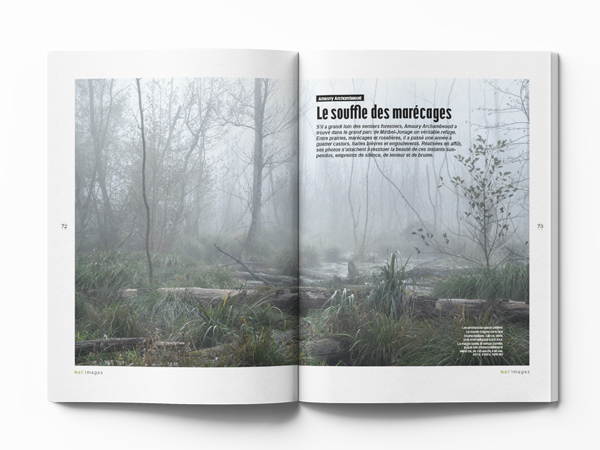 Amaury Archambeaud -Marecages. Nat'images 95