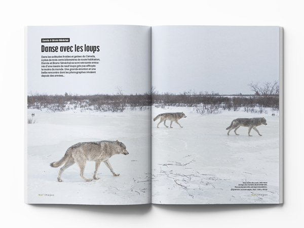 Dorota et Bruno Sénéchal - Loups. Nat'images 95