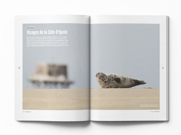 Kévin Wimez - phoques. Nat images 95