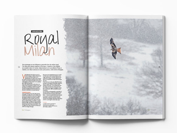 Louis Marie Preau Milan. Nat images 95