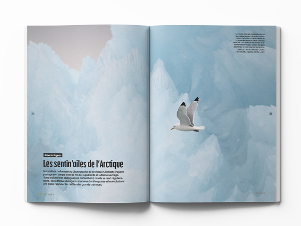 Roberta Pagano Oiseaux Articque. Nat images 95